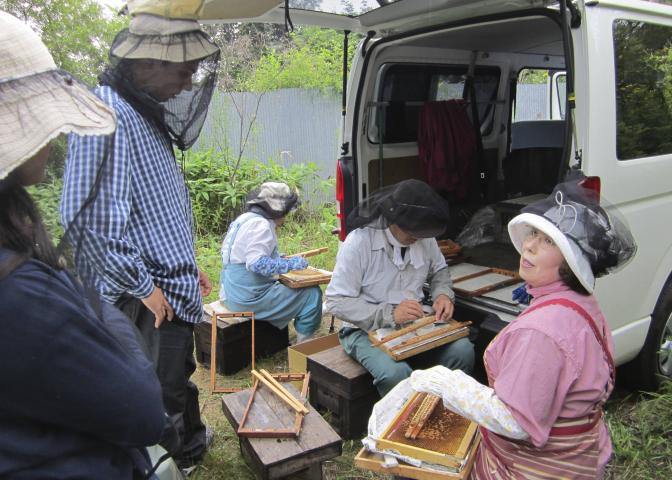 太田養蜂場でローヤルゼリー採取の見学