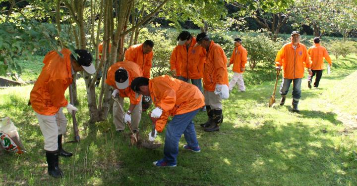 苗の整備作業をする参加者