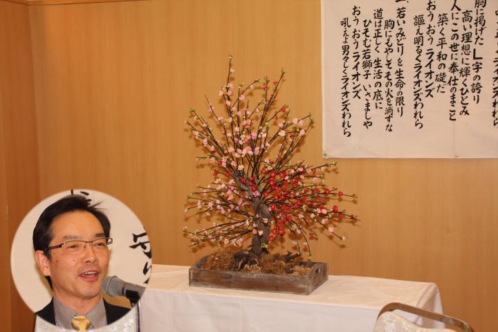 L菅沼 学のご好意で会場に飾られた梅の盆栽　