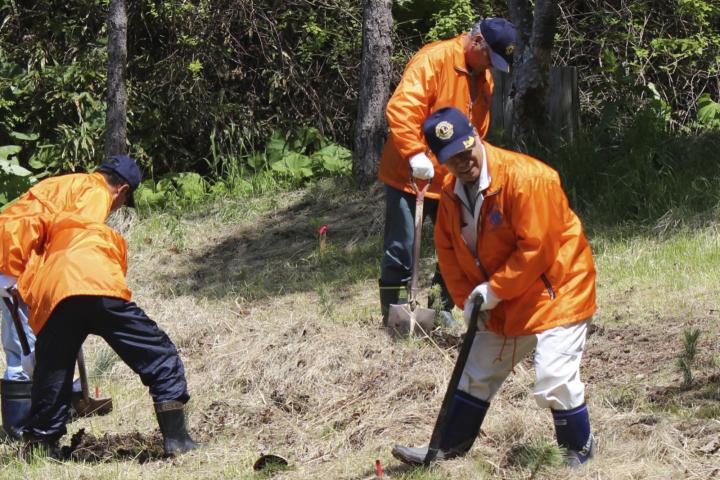 クロマツ、エゾヤマツツジなどを植える会員たち。